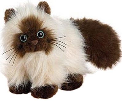 Webkinz 8.5" Himalayan Cat with Unused Code Plush